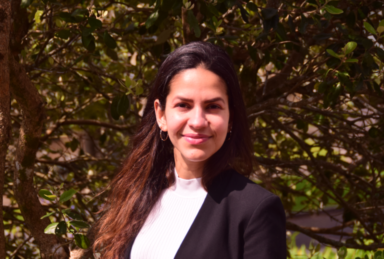 ParedesMarino_IAVCEI_2