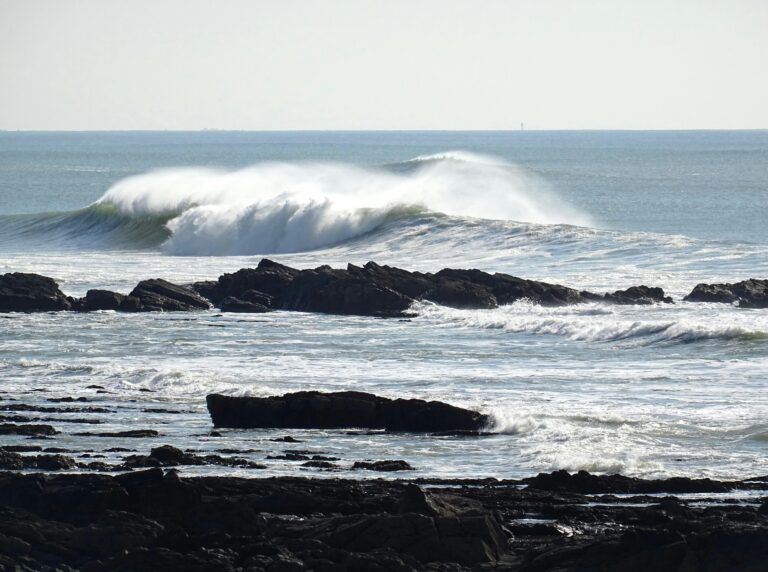 pexels-capricorn-sound-1009851955-31011062